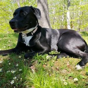 Meet your Posher, Juli